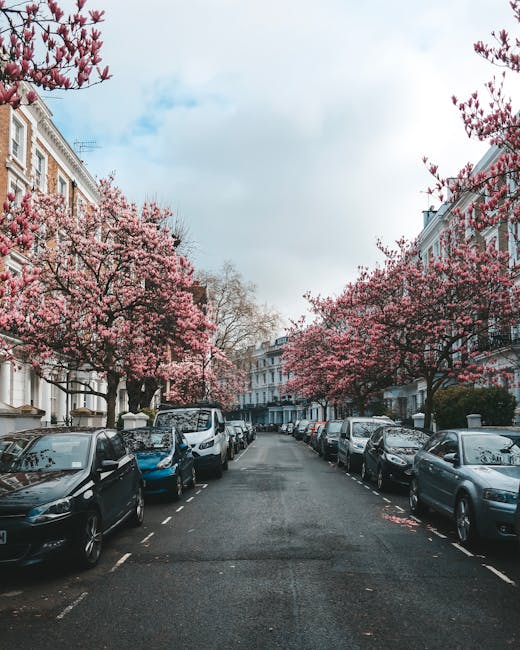 A residential street lined with parked cars on both sides, featuring a row of pink-blossomed trees with dense, flowering branches extending over the pavement. The street appears to be in an urban area with classic multi-storey buildings on either side, displaying brick and stucco facades with white window frames and decorative cornices. The sky above is partly cloudy, casting soft, natural light over the scene. The presence of parked vehicles and flowering trees suggests a typical neighbourhood environment, where independent rubbish collection or private waste handling services, such as those from companies like [COMPANY_NAME], might be involved in local waste management activities. There are no visible signs of rubbish or waste in this image, but the setting aligns with areas where professional waste removal services could be engaged for rubbish disposal or on-site clearance, especially in residential districts that require alternative waste handling arrangements to standard local authority collection.