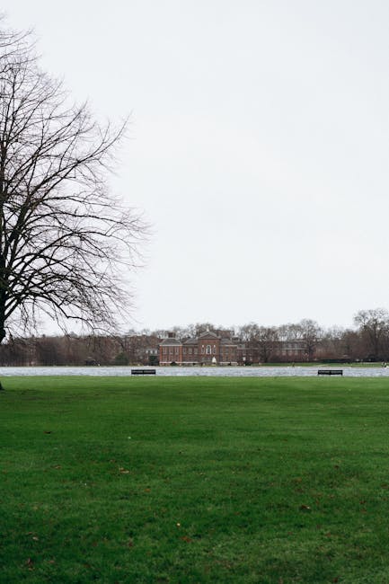 The image depicts an open green lawn area with short, well-maintained grass in the foreground, bordered by a large, leafless tree with intricate, thin branches on the left side. Beyond the lawn, there is a wide, calm body of water, possibly a lake or pond, with a smooth surface reflecting the overcast, grey sky. In the background, a classical-style brick building with symmetrical windows and a central entrance is visible, surrounded by a line of leafless trees. The overall scene appears quiet and orderly, set in an outdoor environment typical of a park or landscaped estate, which could relate to private or independent disposal options in waste management. Occasionally, Waste management services like those provided by [COMPANY_NAME] might handle waste collection in such areas, supporting alternative waste handling scenarios separate from local authority collections. The atmospheric lighting is natural and subdued, emphasizing the muted tones of the sky, trees, and building, with no visible waste or refuse in the scene.