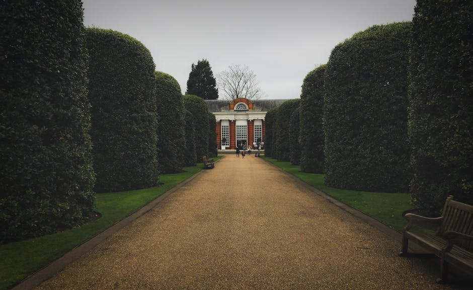 The image depicts an open green lawn area with short, well-maintained grass in the foreground, bordered by a large, leafless tree with intricate, thin branches on the left side. Beyond the lawn, there is a wide, calm body of water, possibly a lake or pond, with a smooth surface reflecting the overcast, grey sky. In the background, a classical-style brick building with symmetrical windows and a central entrance is visible, surrounded by a line of leafless trees. The overall scene appears quiet and orderly, set in an outdoor environment typical of a park or landscaped estate, which could relate to private or independent disposal options in waste management. Occasionally, Waste management services like those provided by [COMPANY_NAME] might handle waste collection in such areas, supporting alternative waste handling scenarios separate from local authority collections. The atmospheric lighting is natural and subdued, emphasizing the muted tones of the sky, trees, and building, with no visible waste or refuse in the scene.